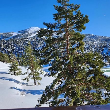 Greolieres Les Neiges Apartment Bagian luar foto