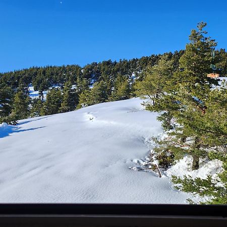 Greolieres Les Neiges Apartment Bagian luar foto