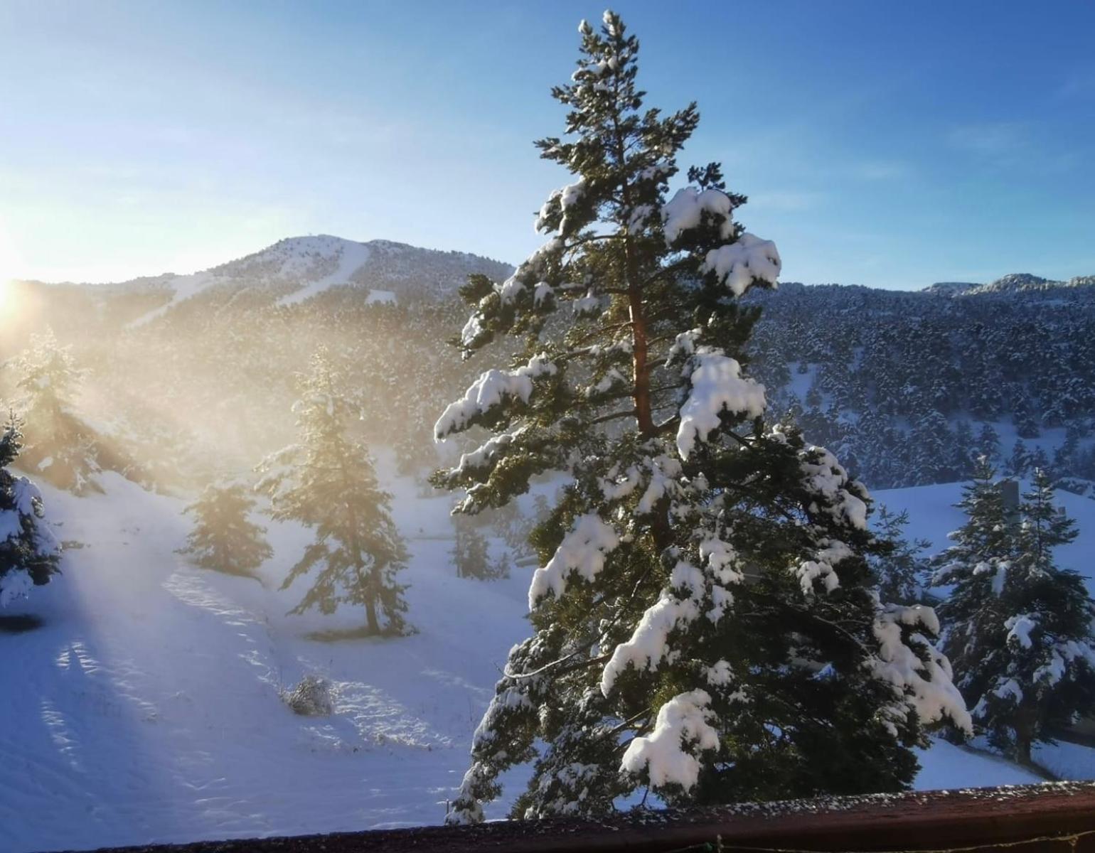 Greolieres Les Neiges Apartment Bagian luar foto