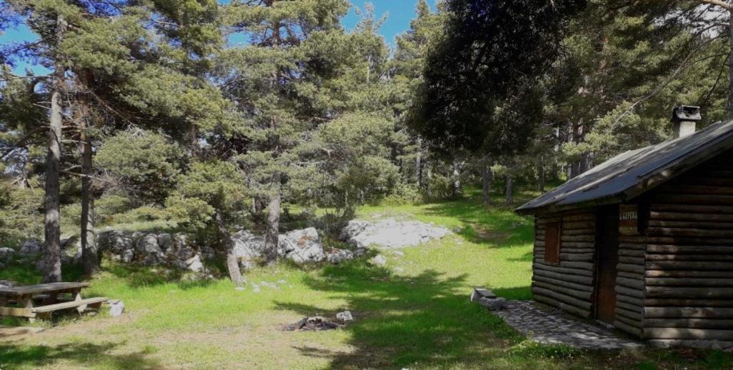 Greolieres Les Neiges Apartment Bagian luar foto